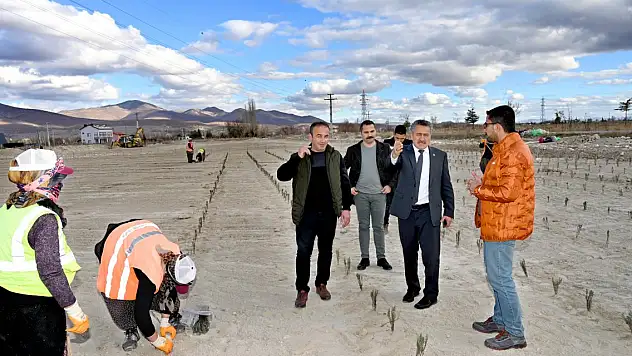 Seydişehir'e turizm alanı yapılıyor