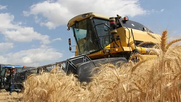Bitkisel üretimde rekor bekleniyor