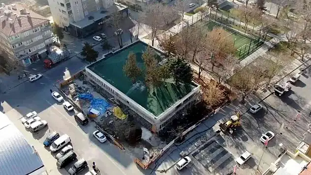 Görenler şaşırıyor, ağaçları kesmedi ortaya bu görüntüler çıktı