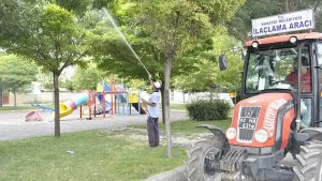 Haşare ile mücadele sürüyor