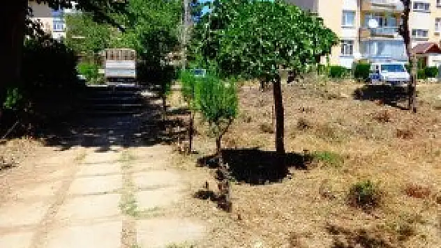 Seydişehir Belediyesi'nden izinsiz ağaç kesenlere ceza