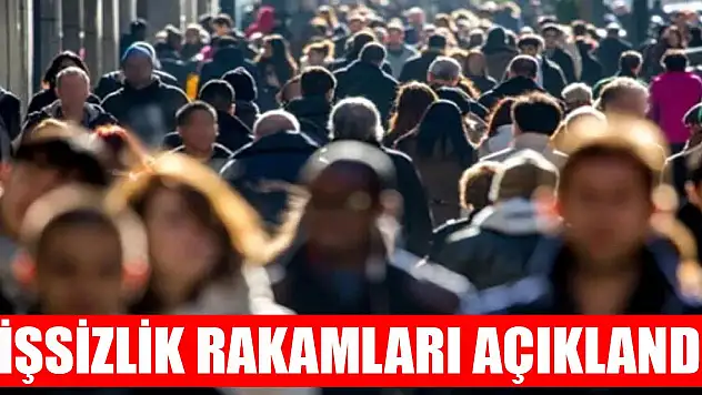 Son Dakika! İşsizlik rakamları açıklandı