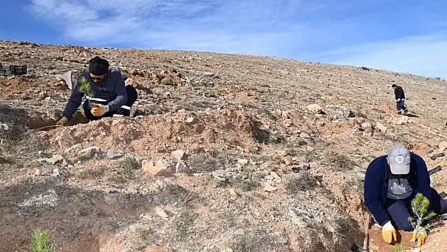 Selçuklu yeşilleniyor