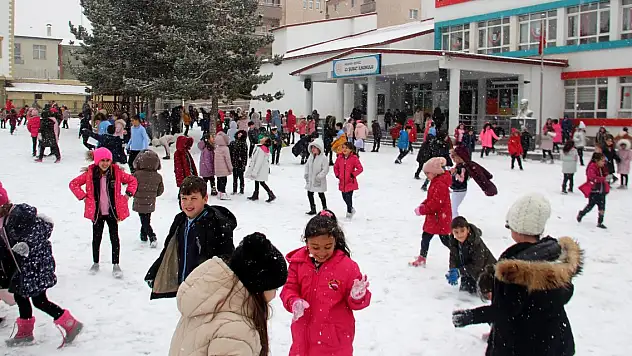 Doğu'da iki ilde kar yağışı etkili oldu
