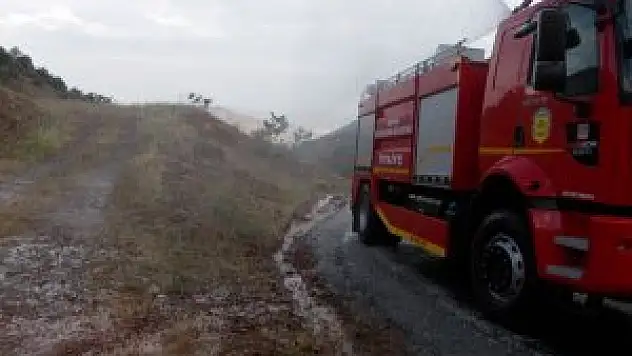 Araçlara saldıran arılara çözüm!