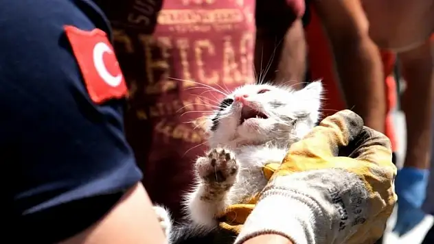 Araç sürücülerine 'Kaputa vur' uyarısı