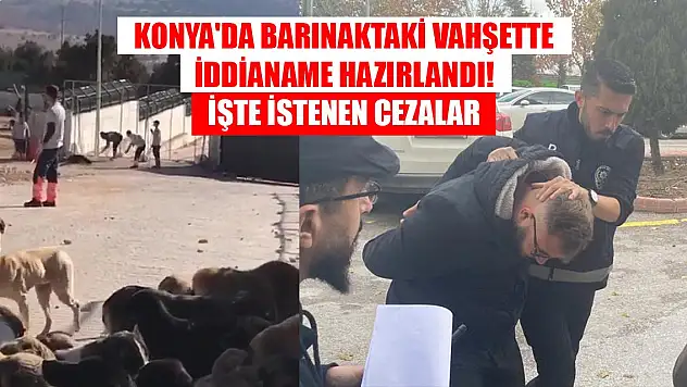 Son Dakika! Konya'da barınaktaki vahşette iddianame hazırlandı! İşte istenen cezalar
