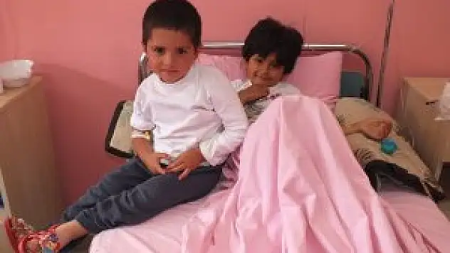 Konya'da arı saldırısı: 13 yaralı