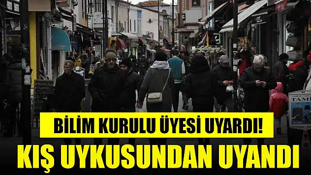 Bilim Kurulu Üyesi uyardı! Kış uykusundan uyandı