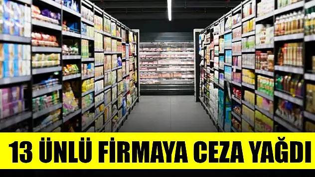 13 firmaya toplam 878 milyon lira ceza! İşte o firmalar