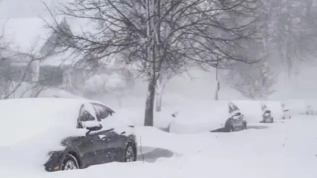 ABD'de felaket! Ölü sayısı artıyor