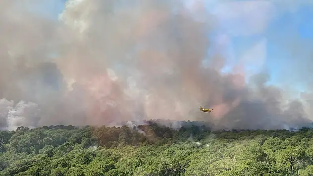 2022'nin en büyük doğal afetleri