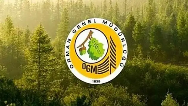 Orman Genel Müdürlüğü 64 işçi alacak