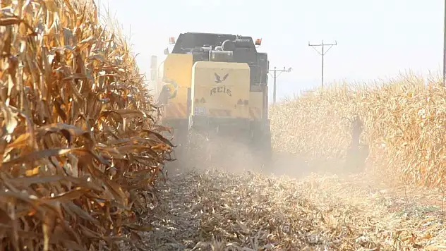 Çiftçiler yüzde 200 artan tohum fiyatlarıyla ilgili çalışma bekliyor