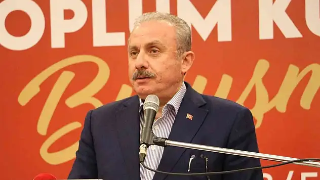 Şentop'tan Prens Harry'ye sert tepki: 'Avrupalı beyaz çocuk, sen kimsin?'