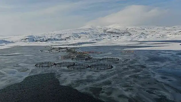 Sibirya soğukları kendini gösterdi, işte Türkiye'nin en soğuk ilçesi