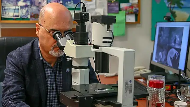 Türk bilim insanları yeni bir canlı türü keşfetti