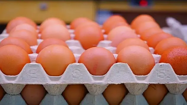 Yumurta ve tavuk eti üretimi arttı