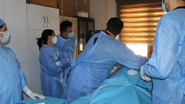 Türk Hekimlerden Mısır, Tayland ve Çin'li doktorlara Tiroid Ablasyon eğitimi