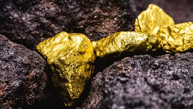 O ilimizden altın fışkıracak!