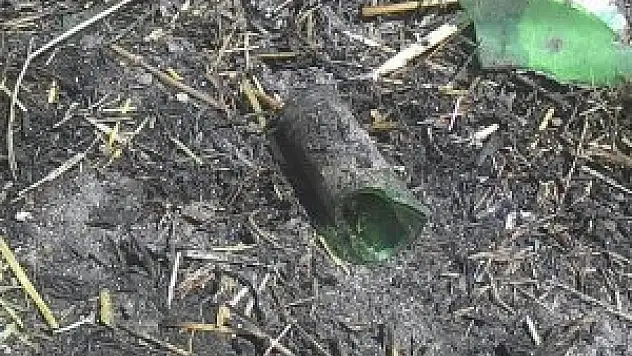 Beyşehir'de yangın