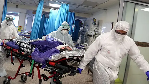 Kovid-19 nedeniyle iki ayda 170 binden fazla kişi öldü