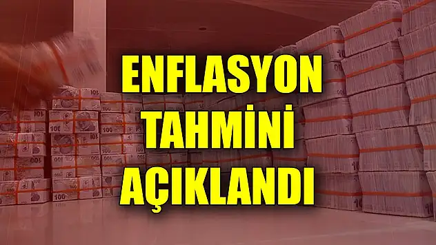 Son Dakika! Yılın ilk enflasyon tahmini açıklandı