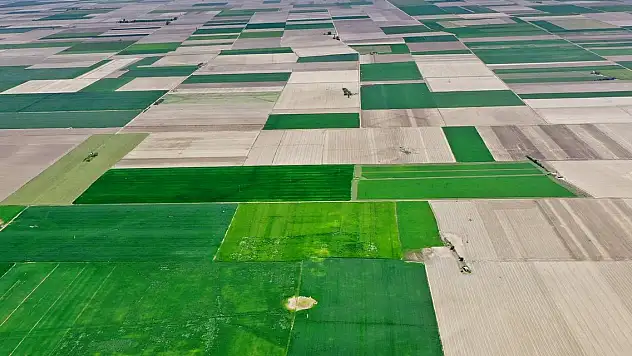 Türkiye'deki büyük ovalara özel koruma kalkanı