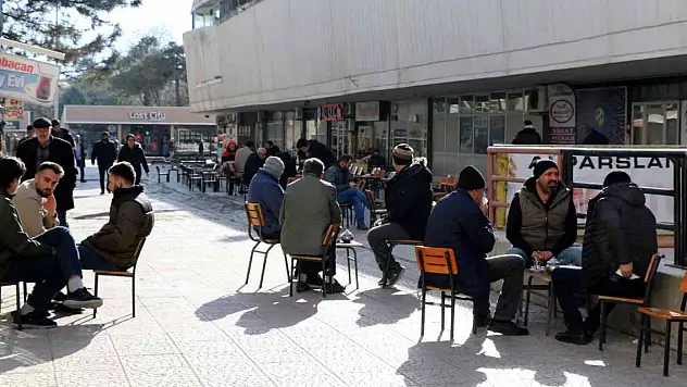 Son yılların en sıcak kış ayını geçiren Erzincan'da vatandaş şaşkın