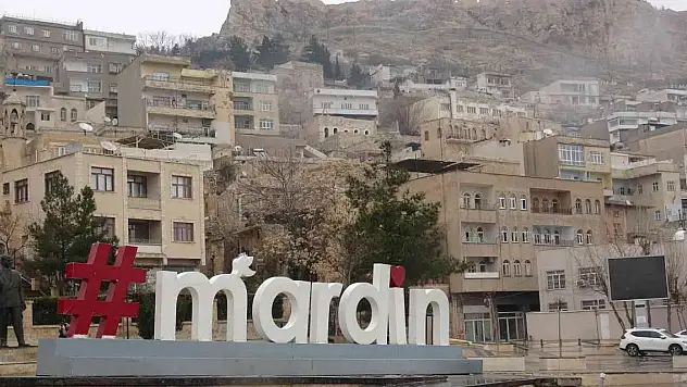 Mardin'de yılın ilk karı lapa lapa yağdı