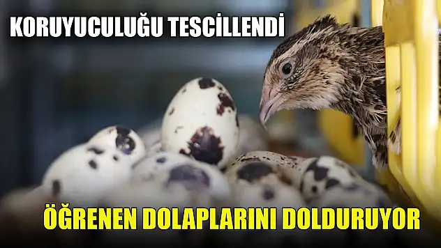 Koruyuculuğu tescillendi, duyan dolabına dolduruyor