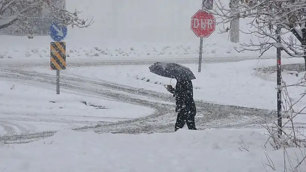 Bitlis'te kardan kapanan 234 yerleşim yeri yolu açıldı