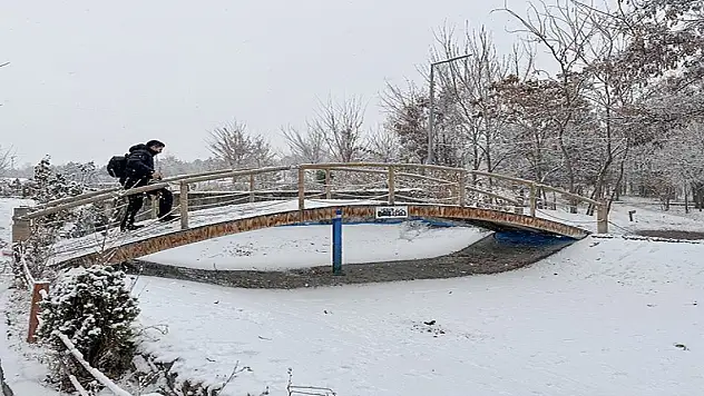 Doğu Anadolu'da kar ve soğuk hava etkili oluyor