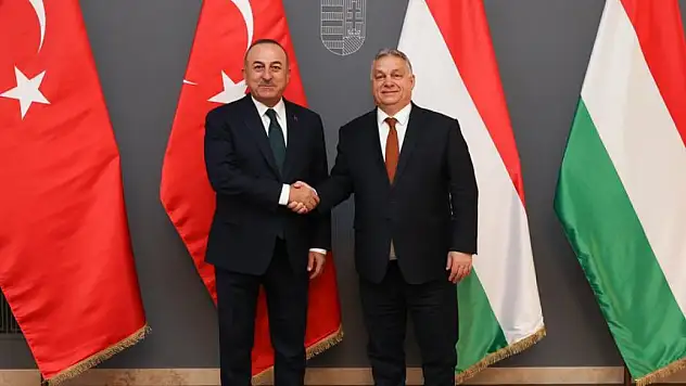 Bakan Çavuşoğlu, Macaristan Başbakanı Orban ile görüştü