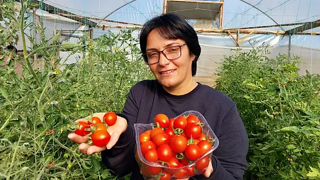 Dalında 17, pazarda 25 lira