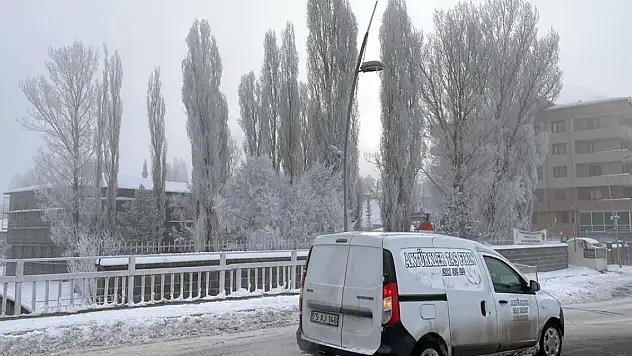 Doğu Anadolu'da kar ve soğuk hava etkisini sürdürdü