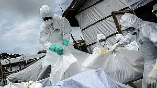 Ebola aşısında yüzde 100 başarı