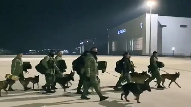 Arama kurtarma köpekleri nasıl eğitiliyor