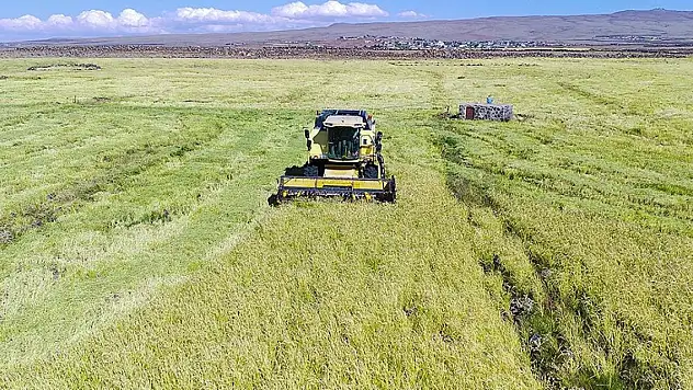 Deprem bölgesinde kırsal kalkınma projelerinin değerlendirme süreleri uzatıldı