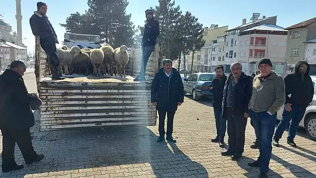 Depremzedeler için hayvan kestirdiler