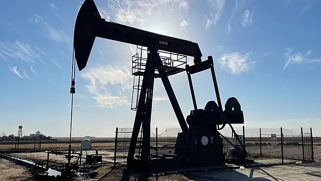 15 saha için petrol arama ruhsatı alındı