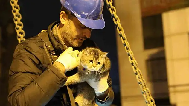 Yıkımı durduran 'Zena' kurtarıldı