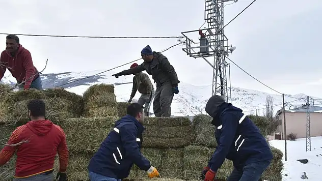 Bayburt'ta çiftçilerin deprem bölgesine yem desteği devam ediyor