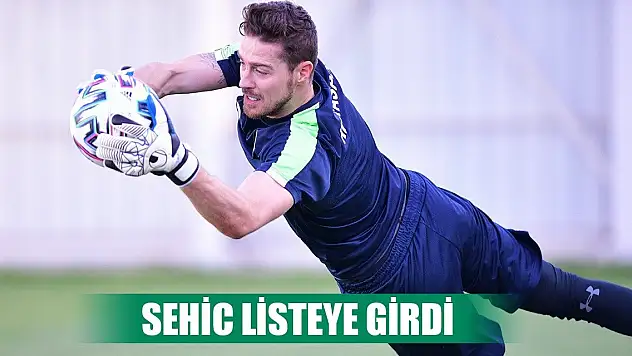 Panter Sehic!