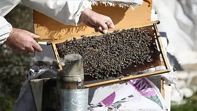 Deprem bölgesindeki arıcılara destek