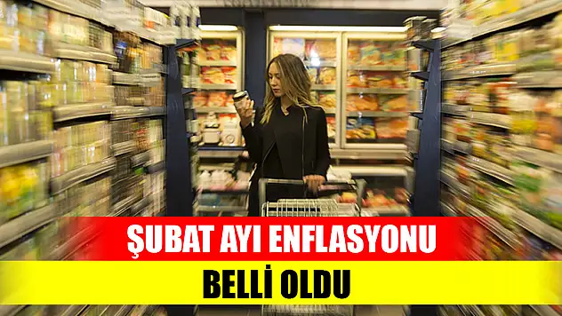 Şubat ayı enflasyon rakamları açıklandı