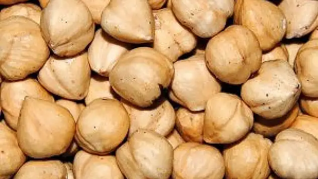 Fındık ihracatından 11 ayda 2.7 milyar dolar gelir