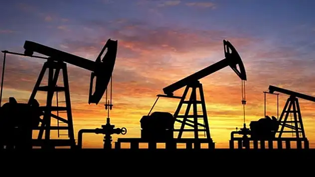 TPAO'nun 2 ildeki petrol işletme ruhsatının süresi 031'e kadar uzatıldı