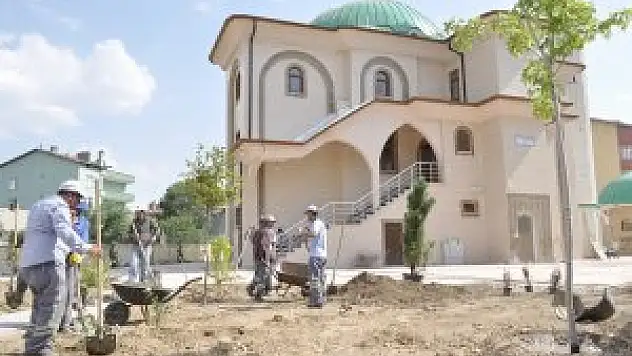 Karatay'da cami bahçeleri yeşillendiriliyor