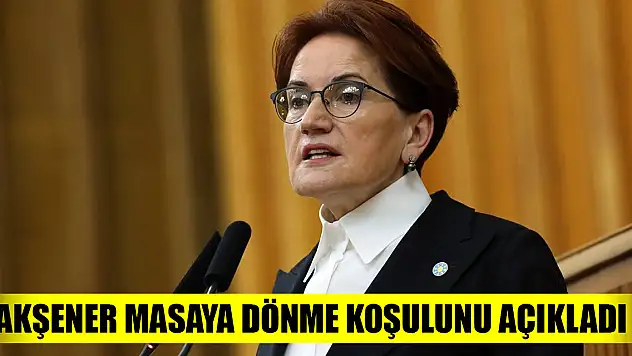 Meral Akşener masaya dönme koşulunu açıkladı